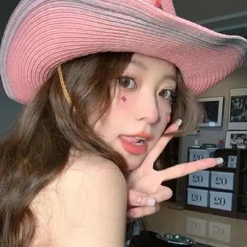 孤鸟罗宾