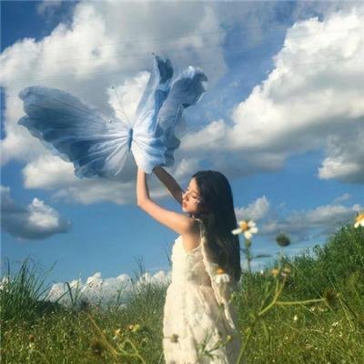 马科斯·特里默的沉默